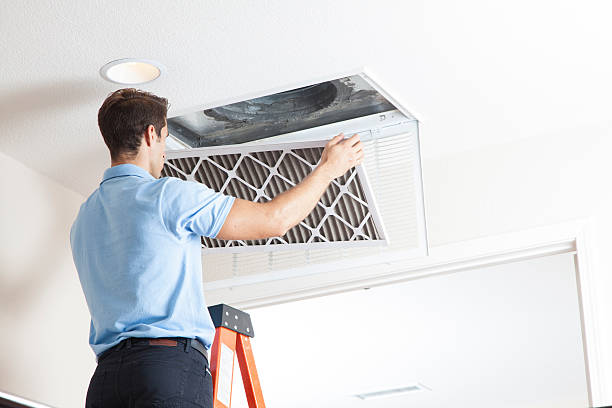 Best Local HVAC Companies  in Twin City, GA